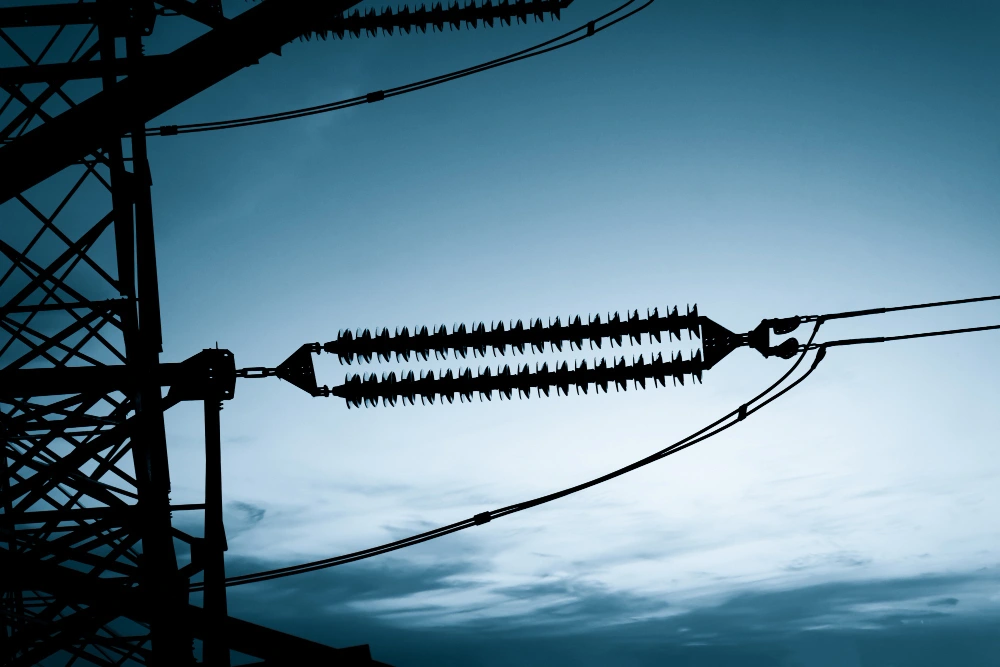 cuantos días tarda Endesa en dar de alta la luz