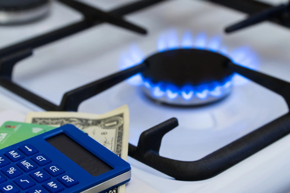 consumo de gas por vivienda