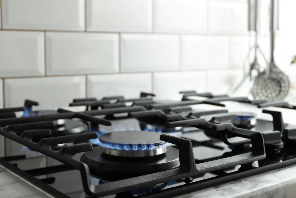 gasto promedio mensual cocinar a gas