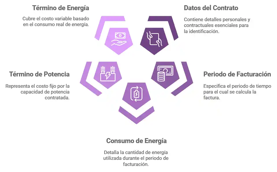 Componentes principales de la factura de la luz