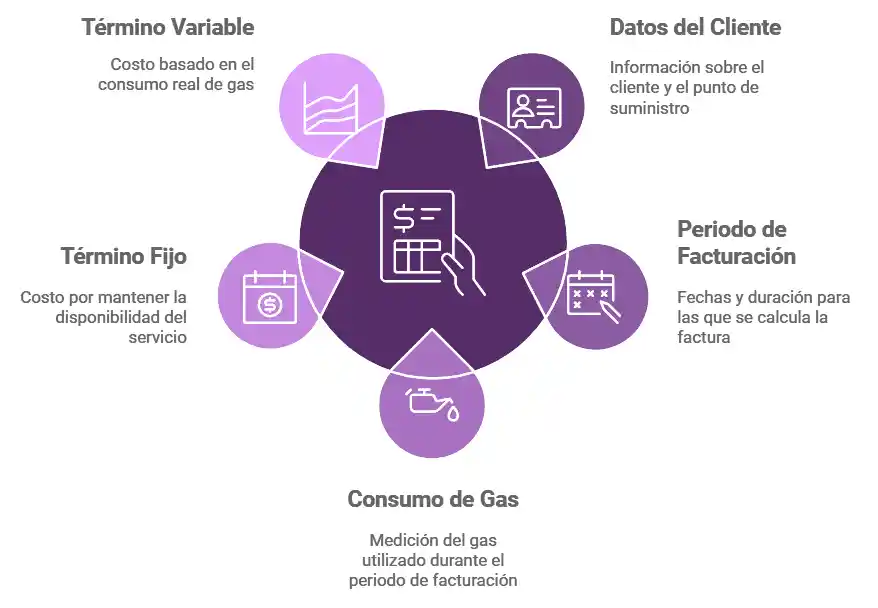 Componentes principales de la factura del gas