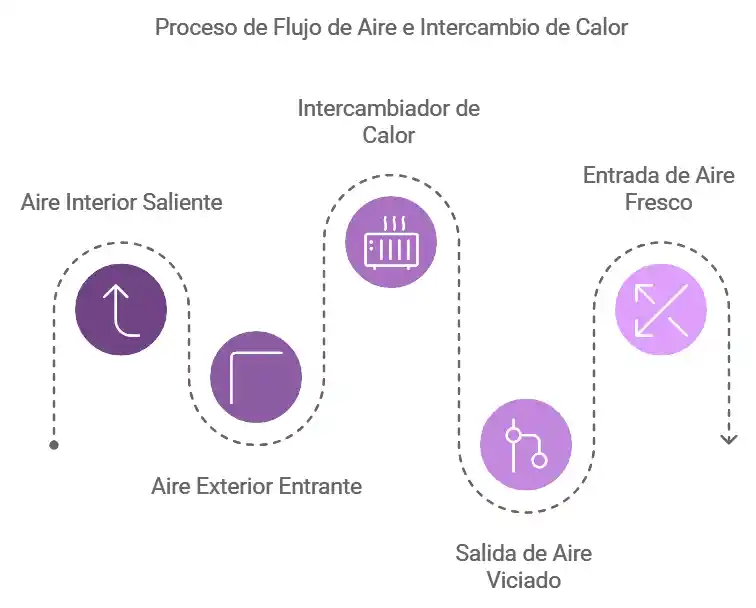 Esquema Ilustrativo del Proceso